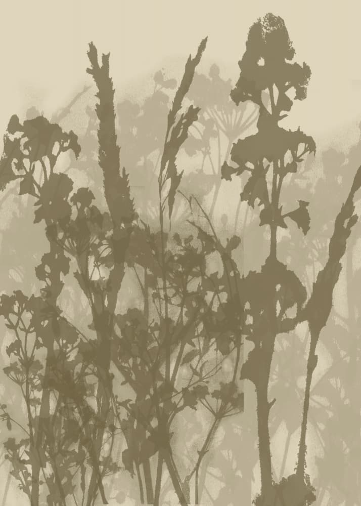 Misty Plant Silhouettes by Dina Dankers — canvas wall art