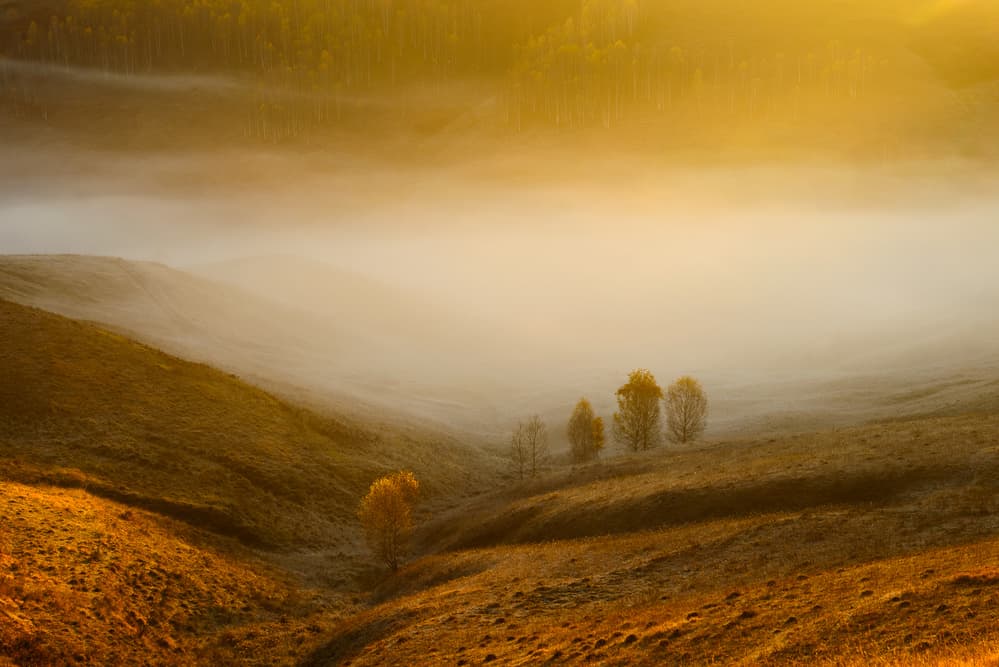 Golden Misty Hills by Ovidiu Satmari — canvas wall art