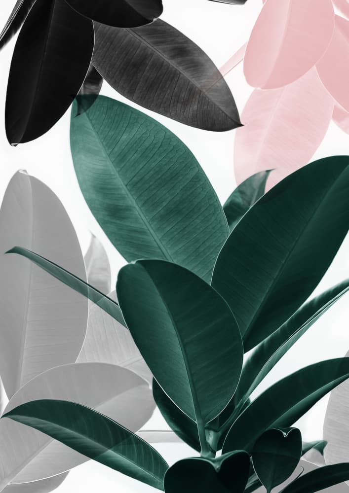 Leaf Play by Kathrin Pienaar — canvas wall art