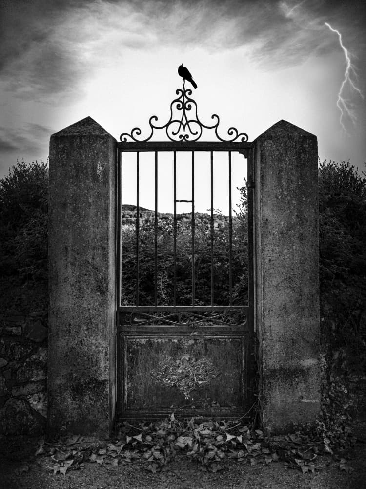 Dark Gate Lightning Crow by Christian MARCEL — canvas wall art