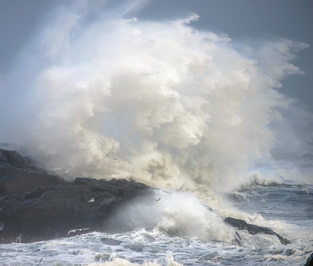 Crashing Waves And Seagulls by Rostovskiy Anton — canvas wall art
