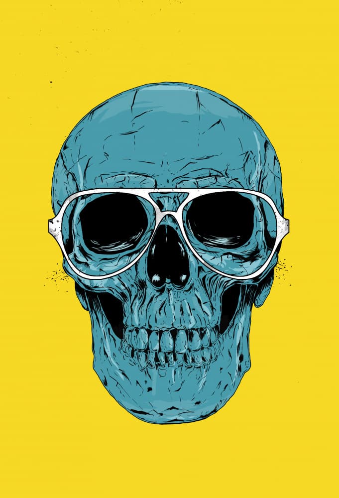 Cool Skull Aviators by Balazs Solti — canvas wall art