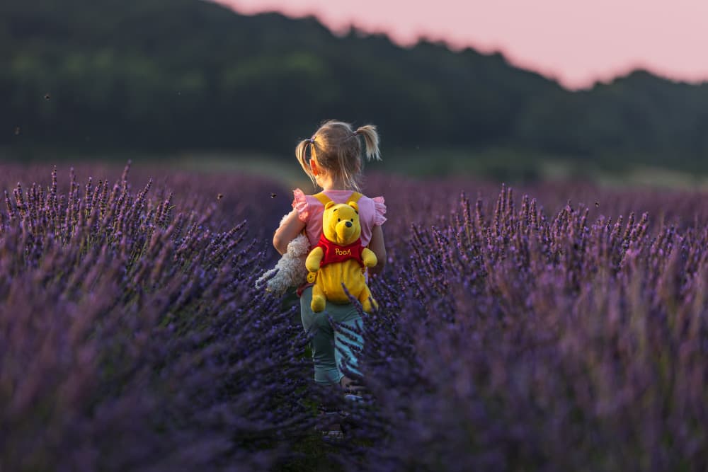 Little Girl Lavender Field by Dmitry Stepanov — canvas wall art