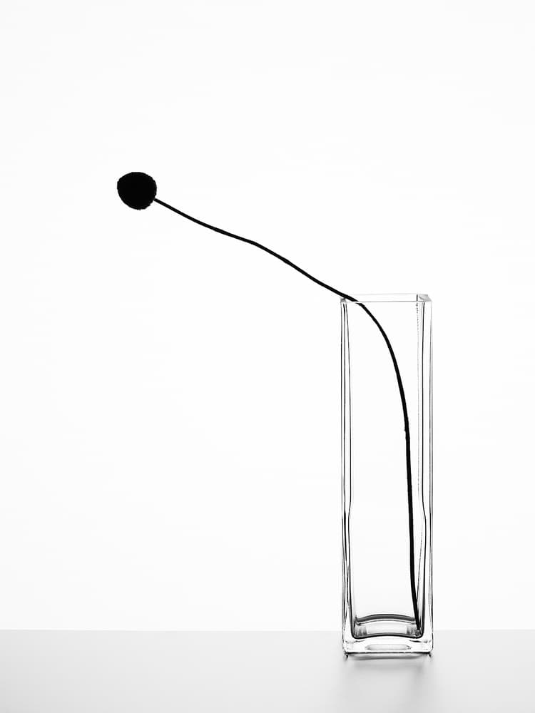 Minimalist Black Bloom by Kristina Oveckova — canvas wall art