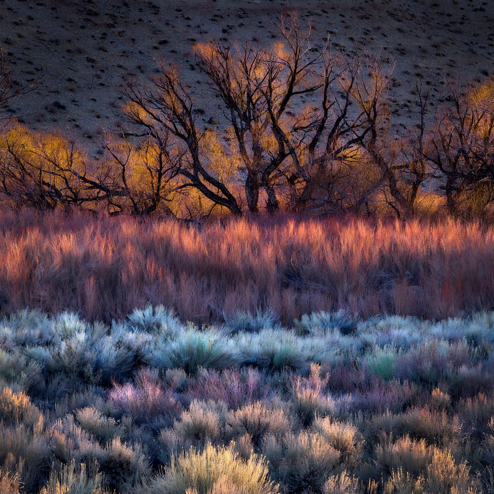 Desert Twilight Glow by Kirbyturnage — canvas wall art