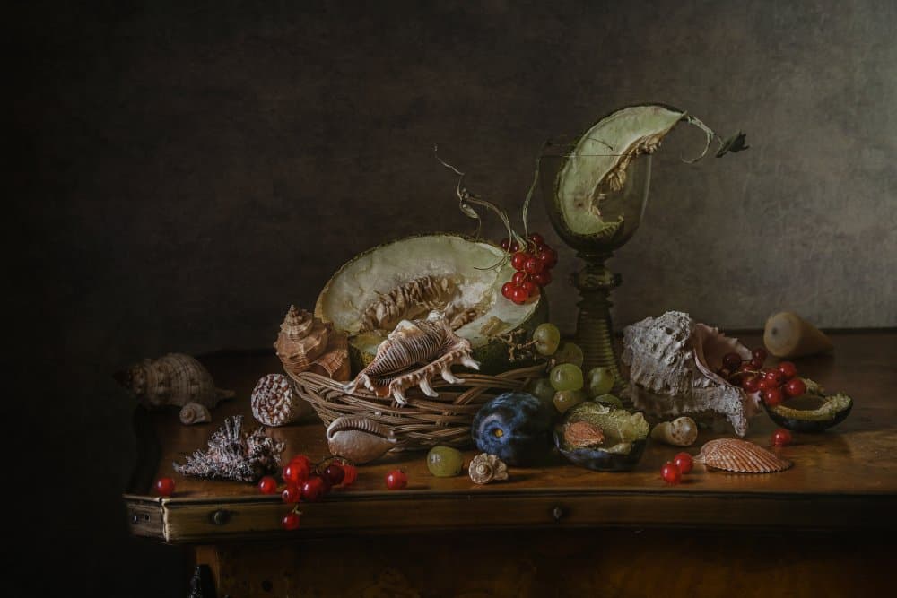 Vintage Fruit and Shells by Anna Petina — canvas wall art