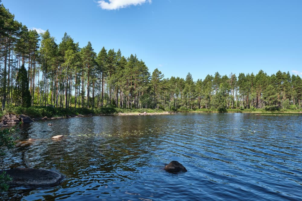 Peaceful Forest Lake by Geertjan Plooijer — canvas wall art