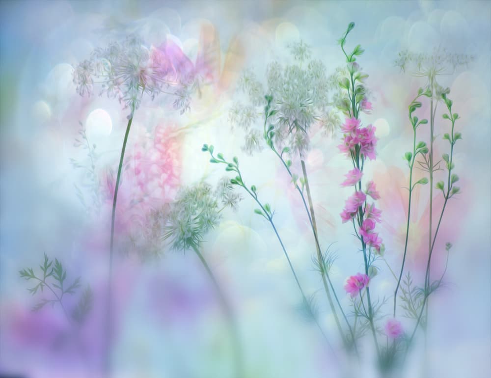 Ethereal Pastel Blooms