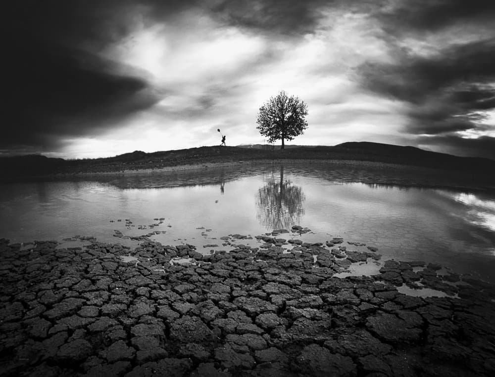 Lone Tree Reflection by Todor Tanev — canvas wall art