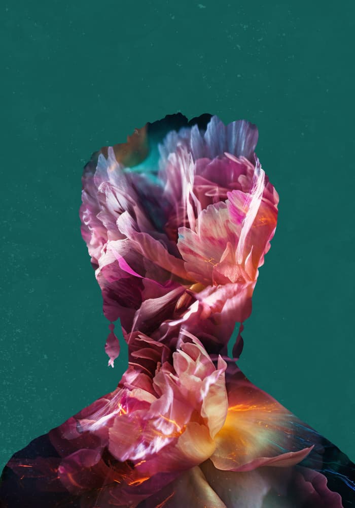 Ethereal Floral Silhouette by Sarah Manovski — canvas wall art