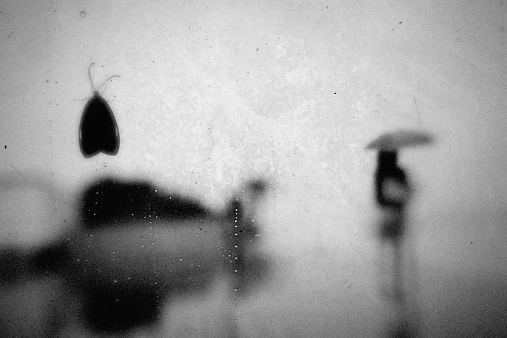 Moth and Umbrella Silhouette by Teruhiko Tsuchida — canvas wall art
