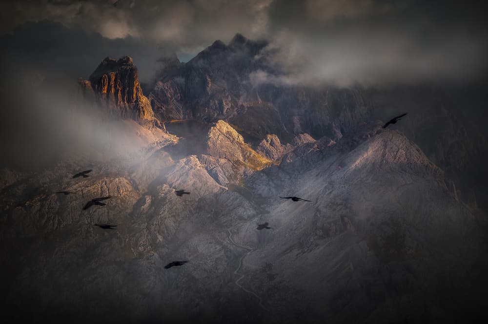 Misty Mountain Birds by Alessandro Traverso — canvas wall art