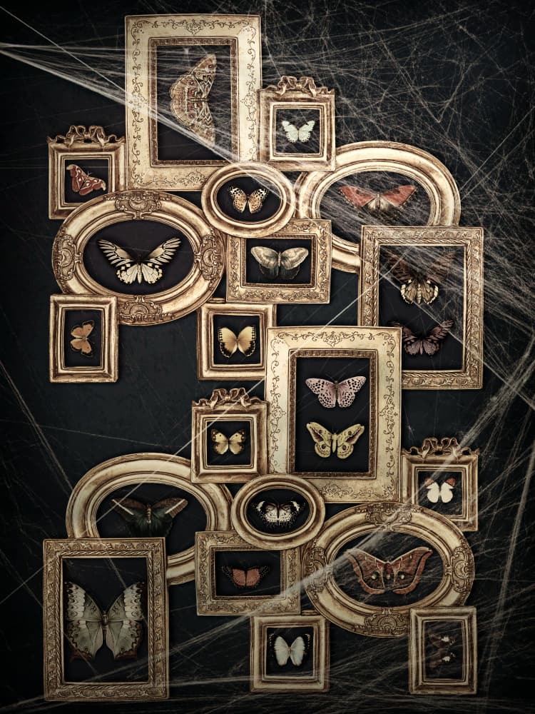 Vintage Entomology Collection by Marja van den Hurk — canvas wall art