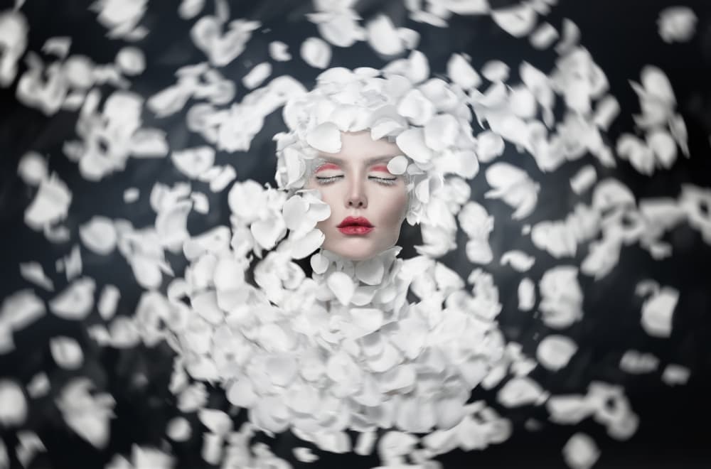 White Petal Dream by See Plus — canvas wall art