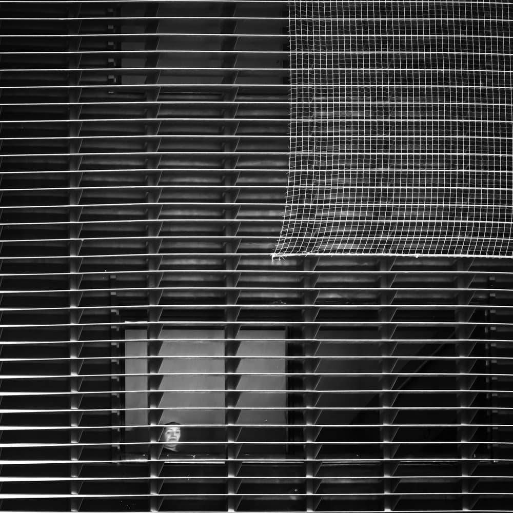 Hidden Gaze Through Grille by Luc Vangindertael (laGrange) — canvas wall art