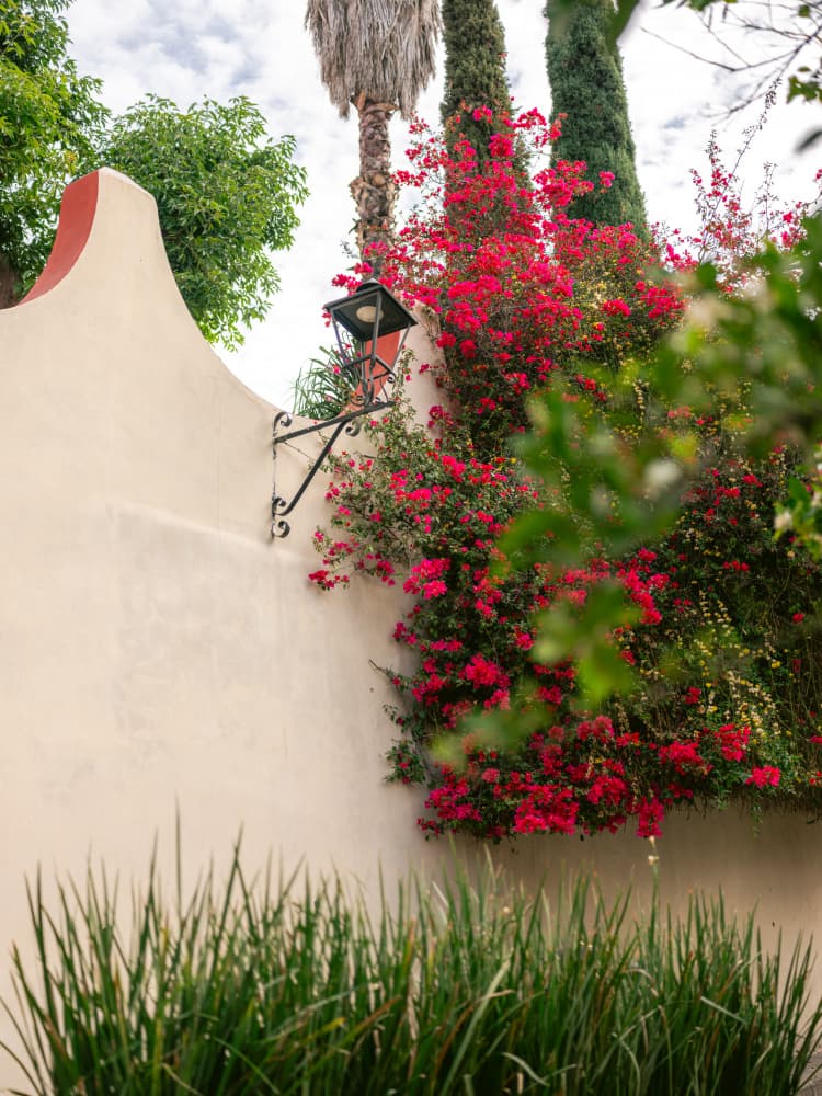 Details of San Miguel de Allende Mexico by Raisa Zwart — canvas wall art