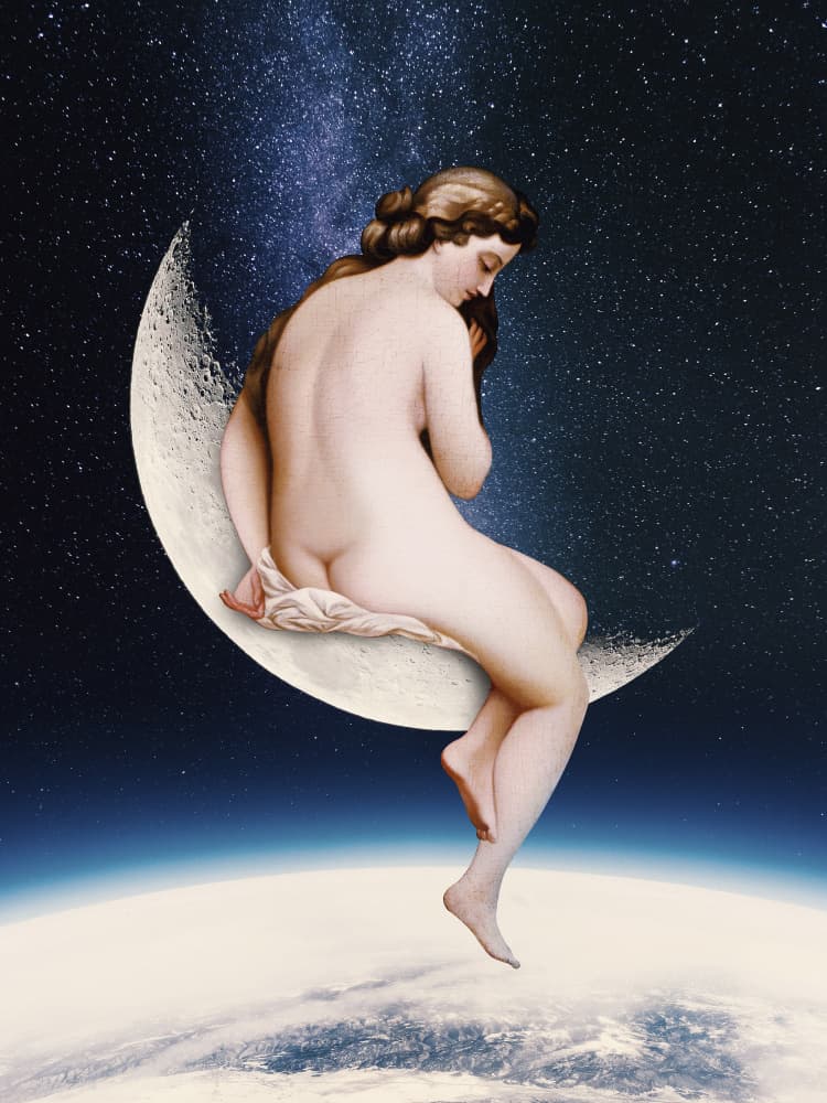Moonwatcher by Paste in Place — canvas wall art