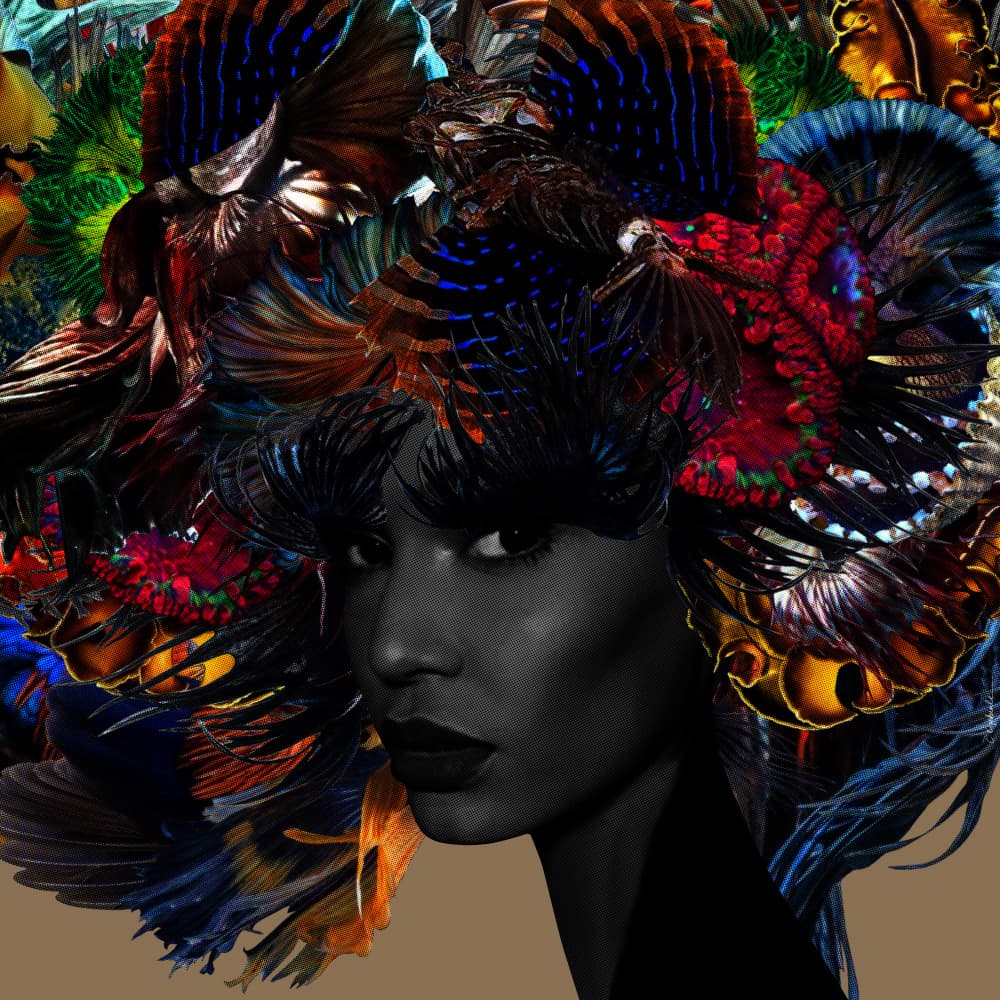 Ornate Feathered Portrait by Lolita Lorenzo — canvas wall art