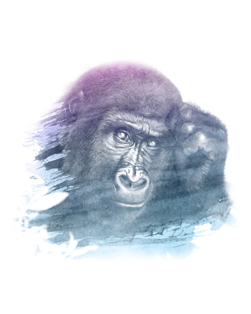 Thoughtful Gorilla Gaze by Emiliano Deificus — canvas wall art