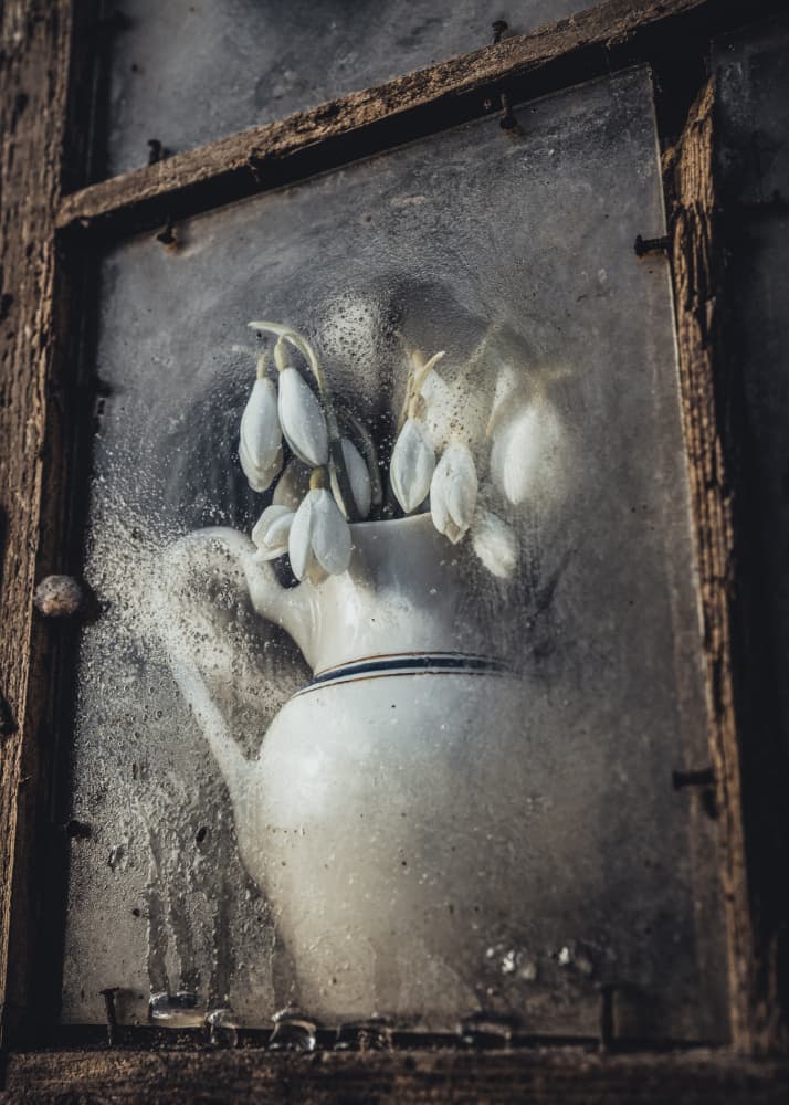 Frosted Window Snowdrops by Normunds Kaprano — canvas wall art