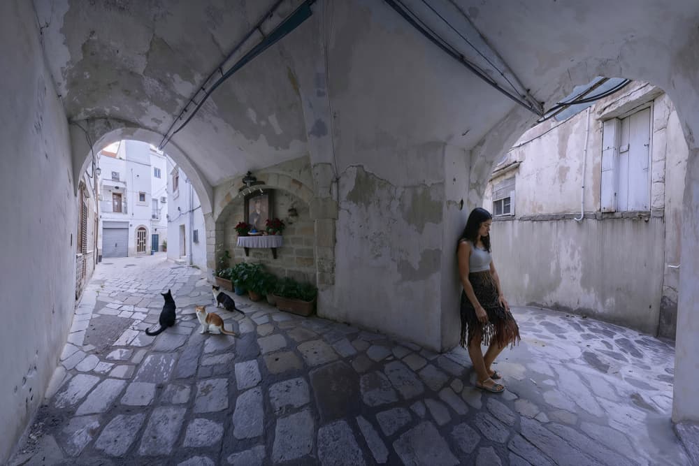 Woman and Alley Cats by Giuseppe Satriani — canvas wall art