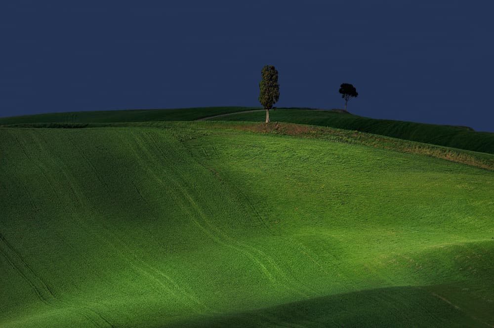 Rolling Hills Two Trees by Claudio Moretti — canvas wall art