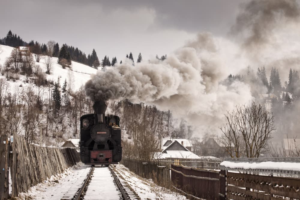 Winter Steam Train Journey by Dan Mirica — canvas wall art