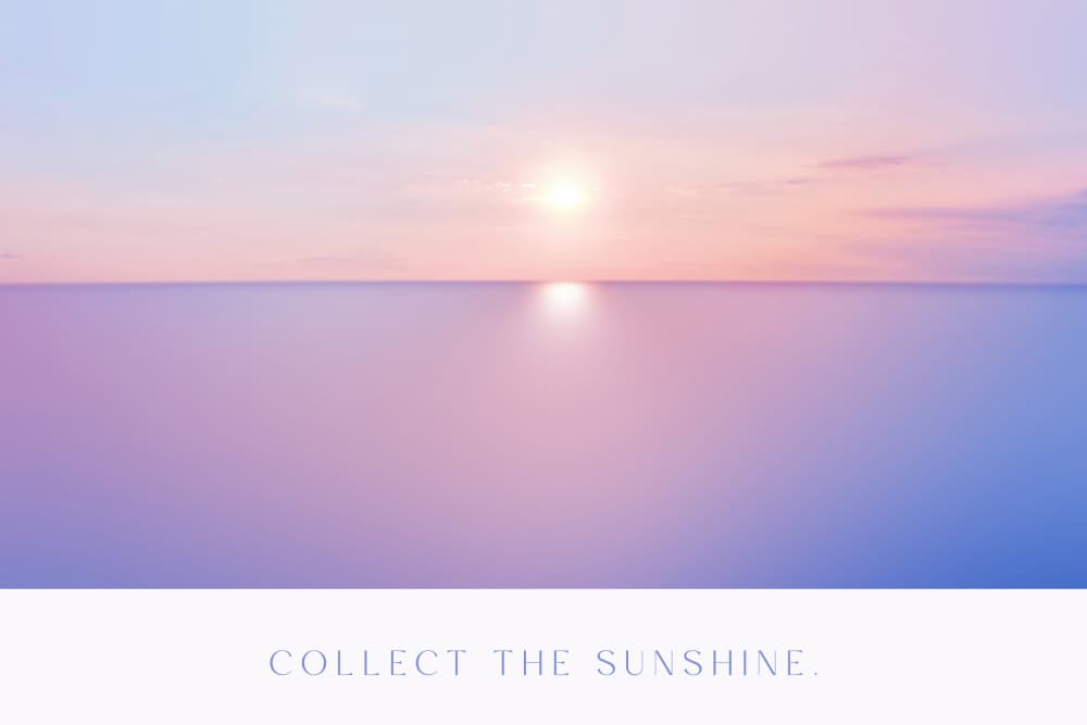 Collectthesunshine by Treechild — canvas wall art