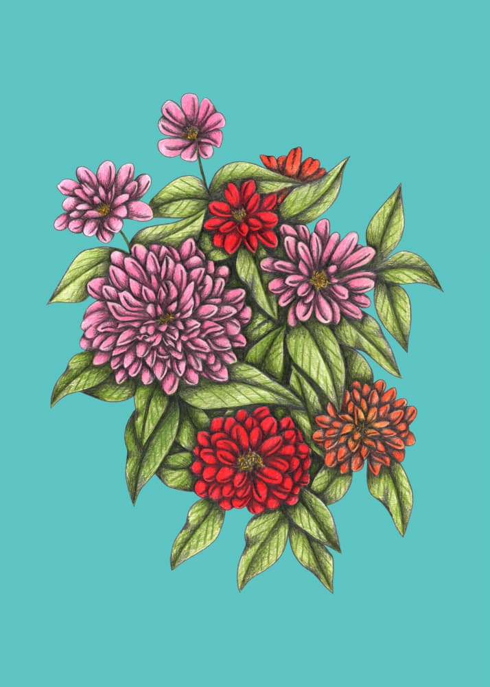 Vibrant Zinnia Bouquet by Cecilia Battaini — canvas wall art