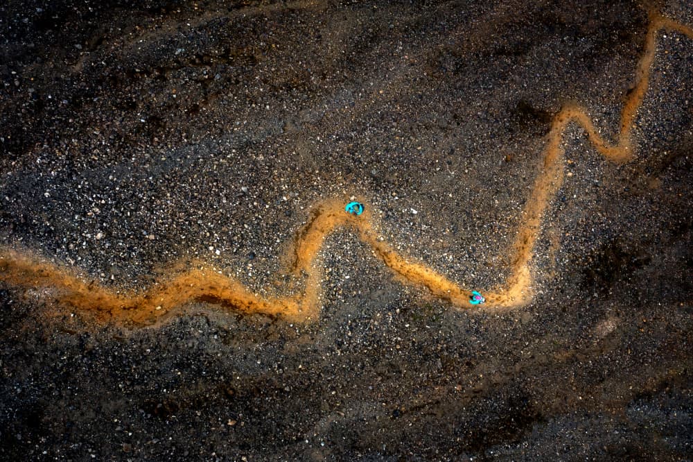 Orange Path Wanderers by James Bian — canvas wall art