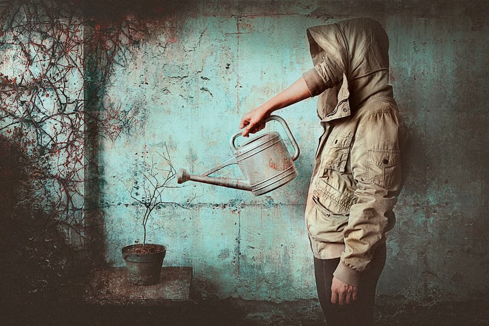 The Mysterious Gardener by Sebastian Kisworo — canvas wall art