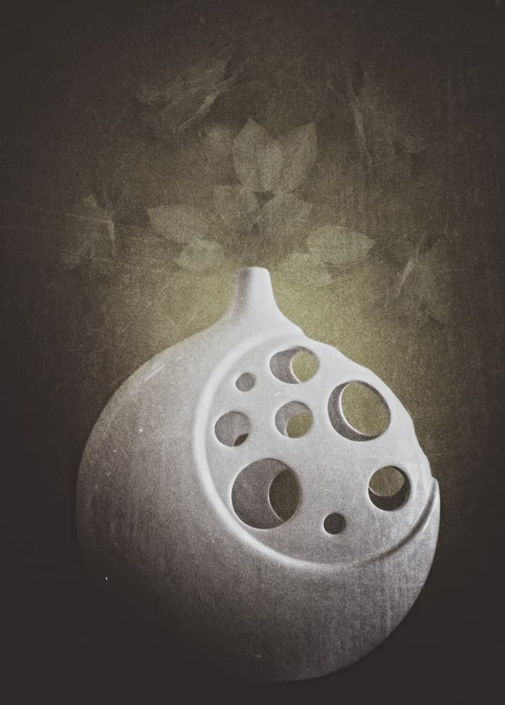 Modern Lotus Vase by Kahar Lagaa — canvas wall art