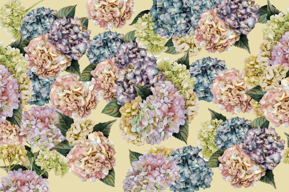 Soft Watercolor Hydrangeas by Sue Skellern — canvas wall art