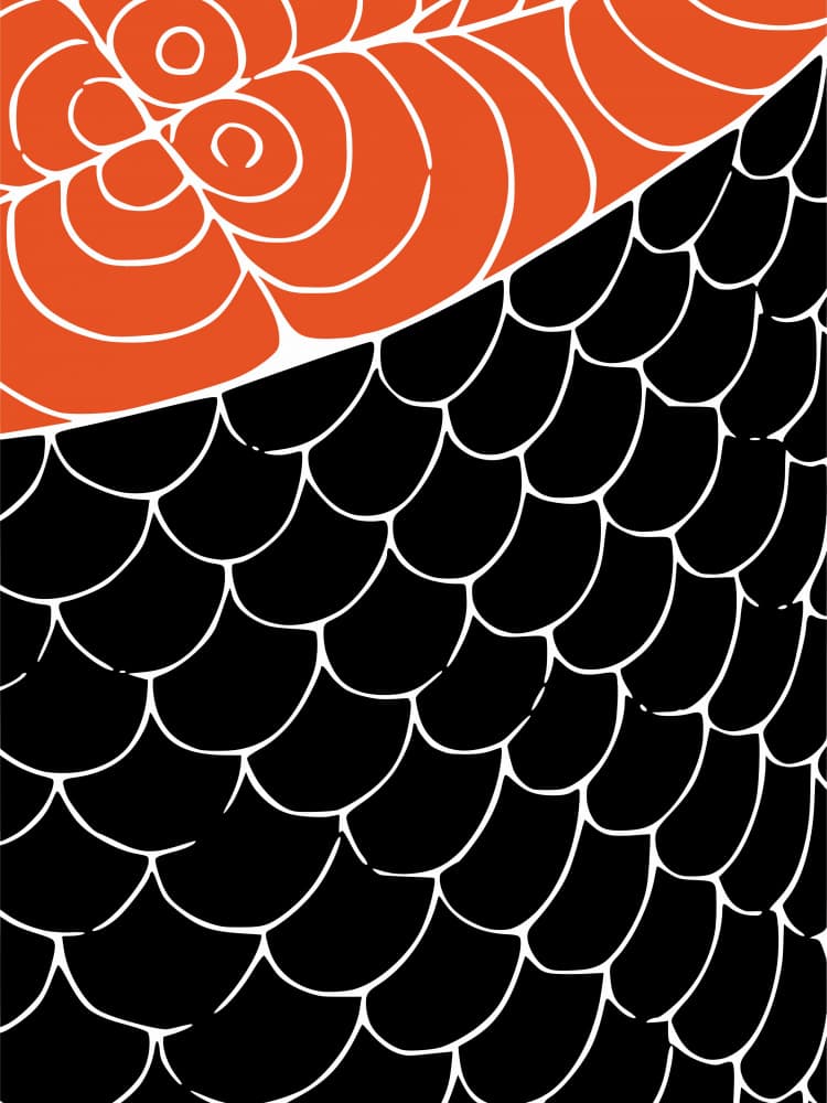 Abstract Salmon Scales by Little Dean — canvas wall art
