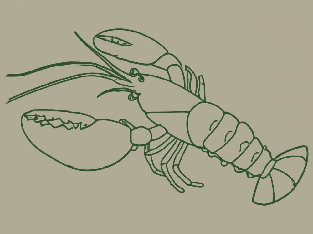 Elegant Lobster Sketch by Treechild — canvas wall art