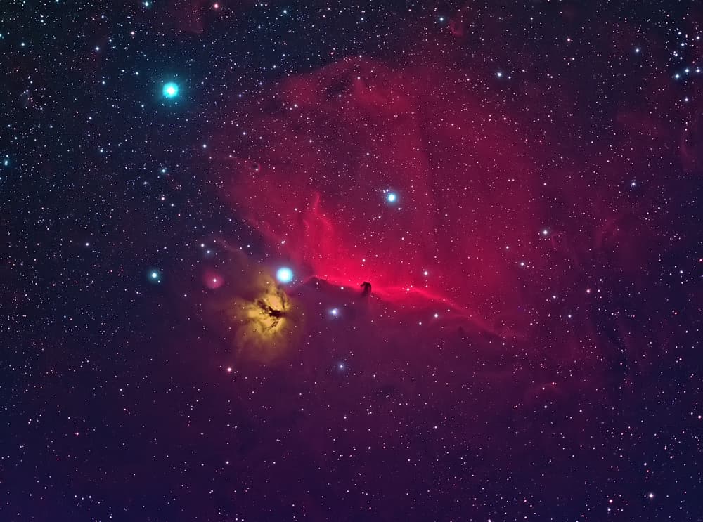 Cosmic Horsehead Nebula by Andrea Auf dem Brinke — canvas wall art