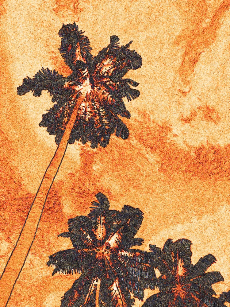 Vibrant Tropical Palms by Santhosh ch — canvas wall art