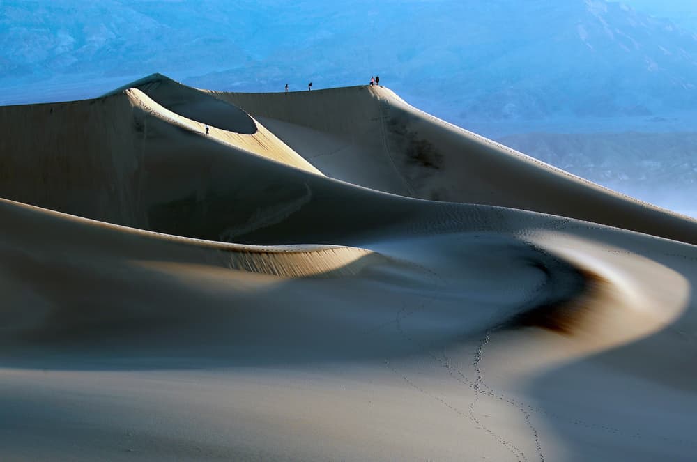 Desert Dune Explorers by Libby Zhang — canvas wall art