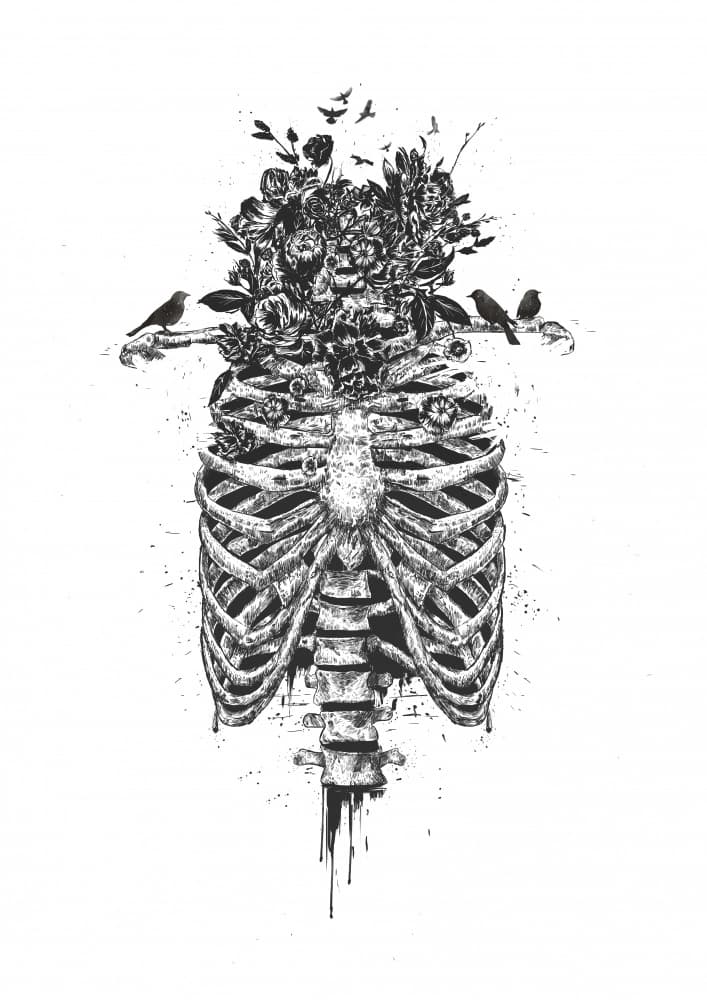Flowering Skeleton Birds by Balazs Solti — canvas wall art