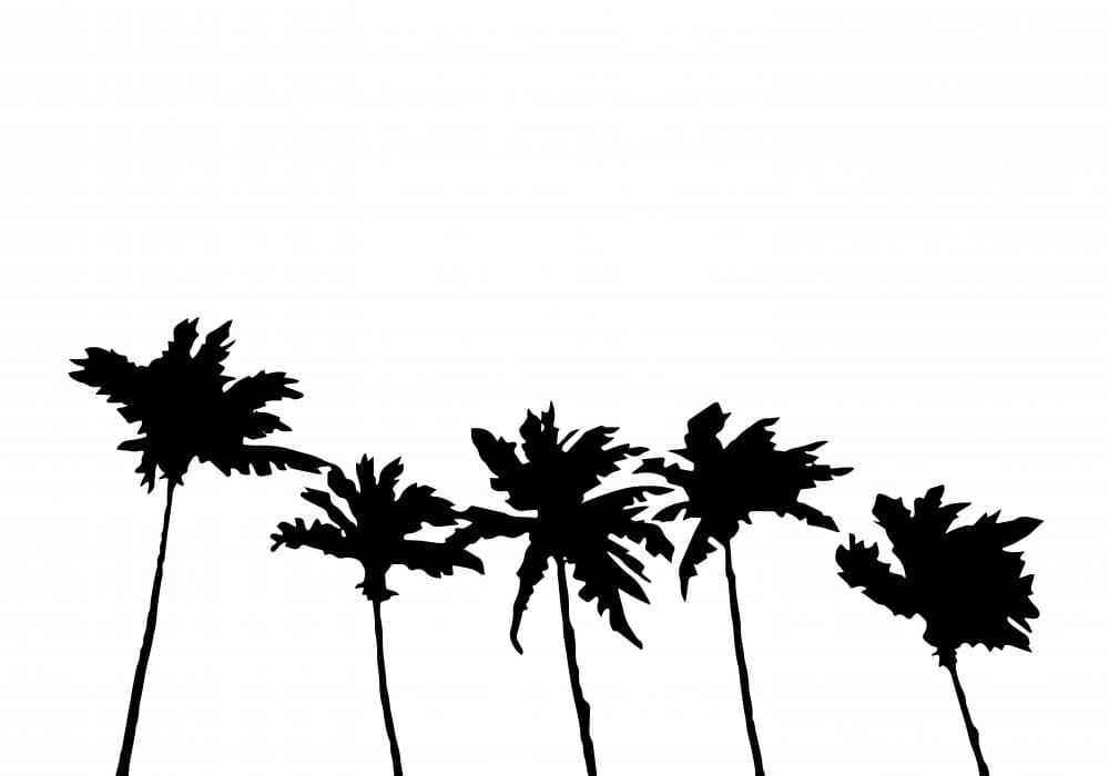 Tropical Palm Silhouettes by Pictufy Studio II — canvas wall art