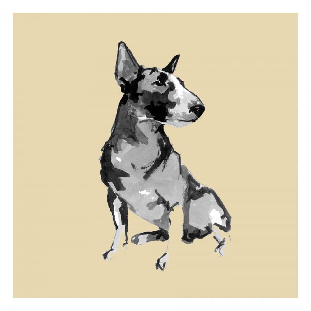 Sitting Bull Terrier by cartissi — canvas wall art