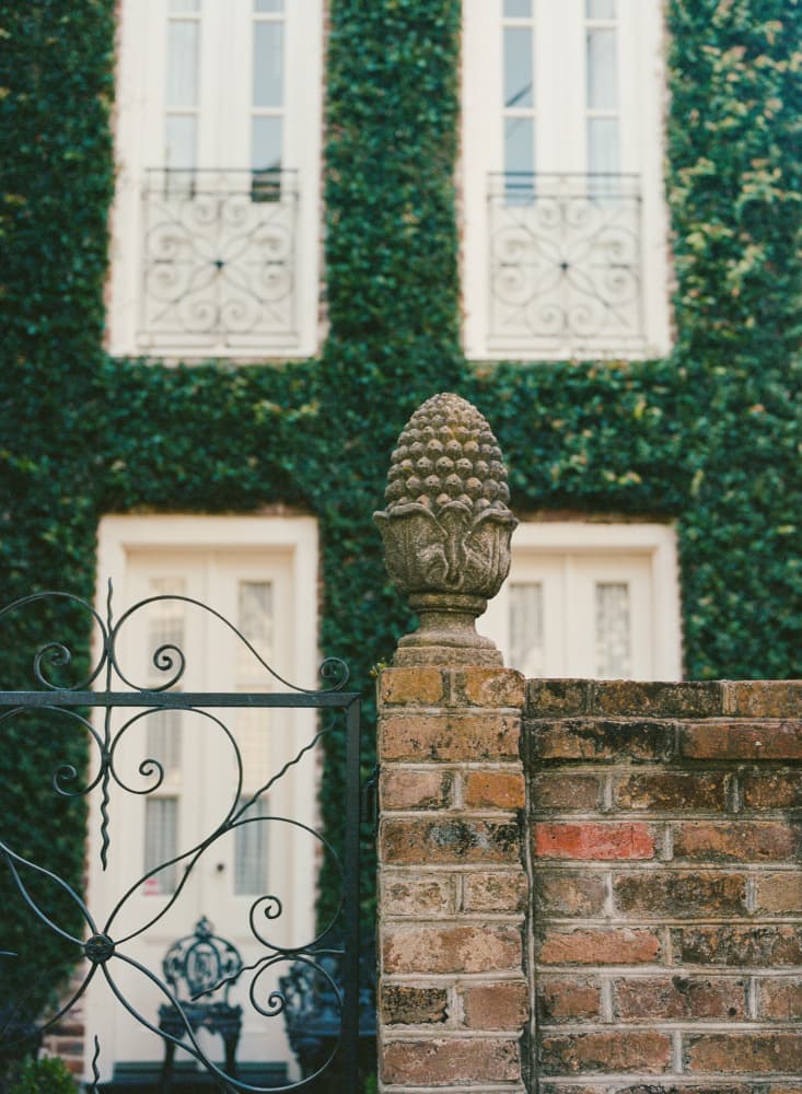 Ivy Covered Entrance by Bethany Young — canvas wall art