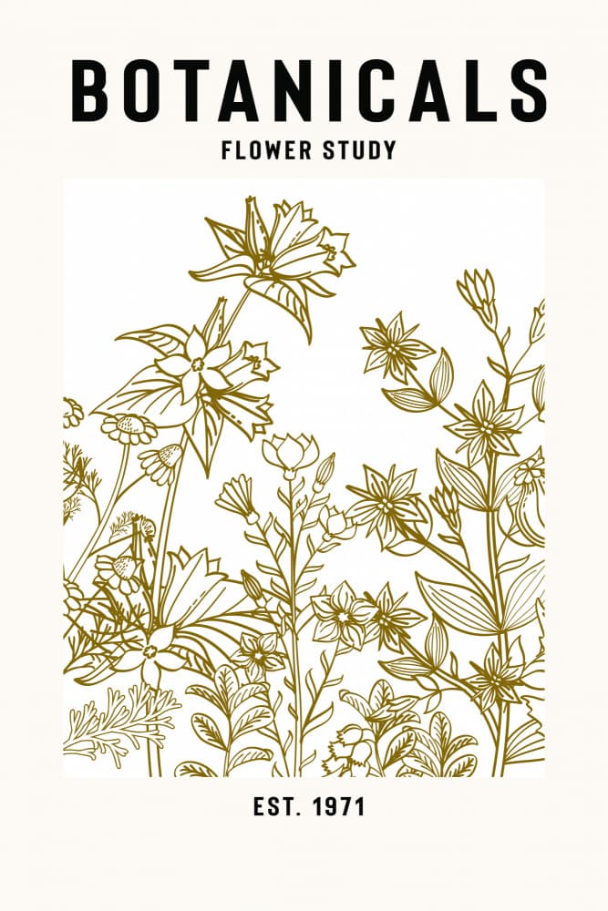 Elegant Botanical Sketch by jay stanley — canvas wall art