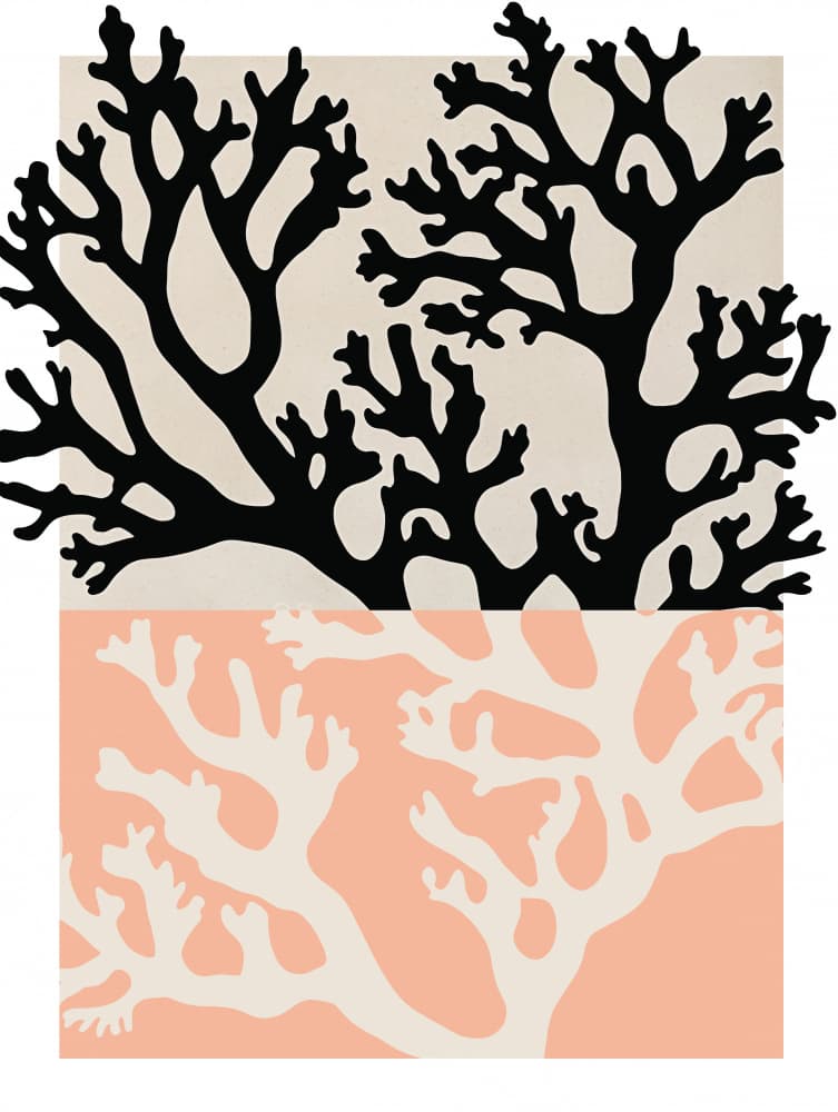 Coral Silhouettes by Treechild — canvas wall art