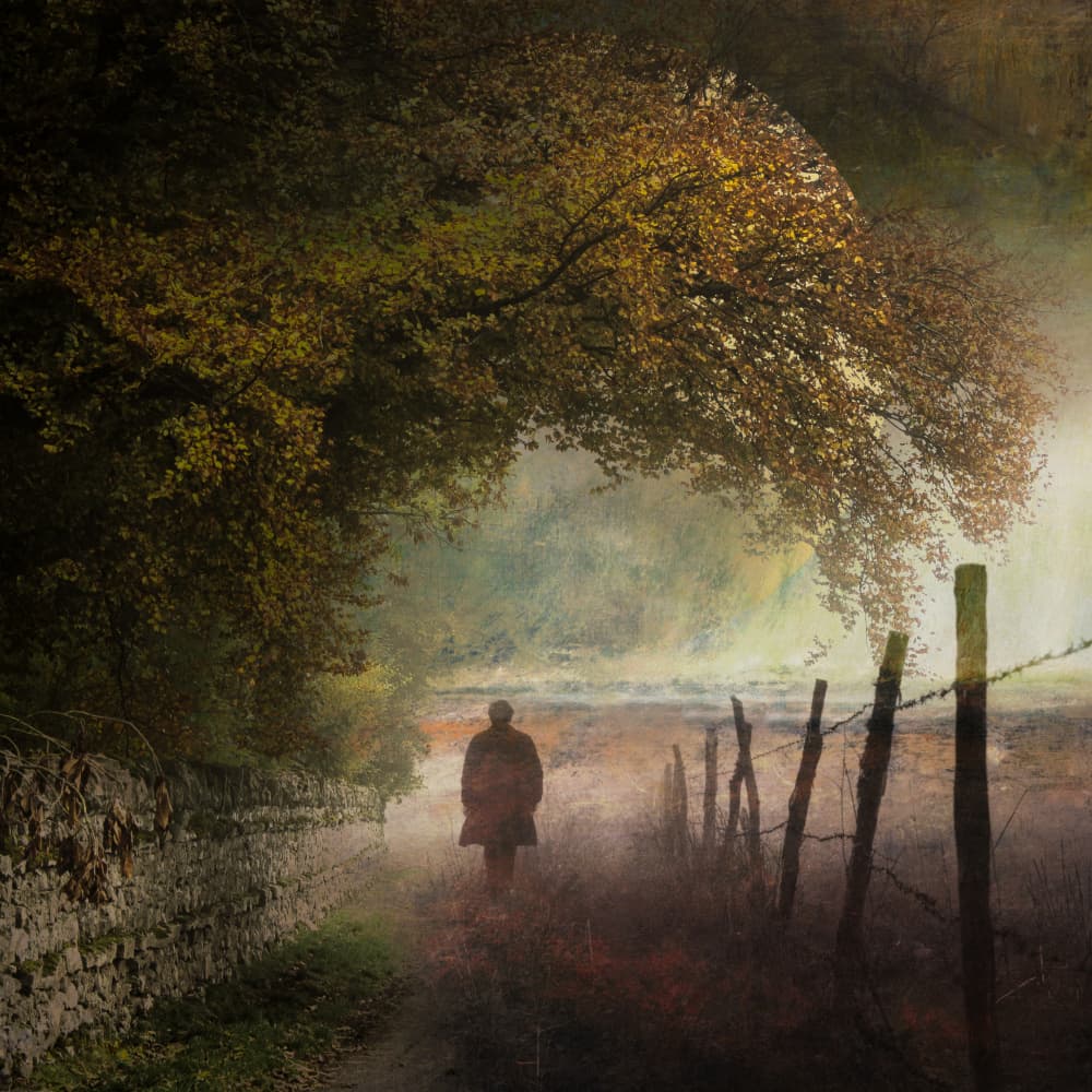 Man On Misty Autumn Path by Marja van den Hurk — canvas wall art