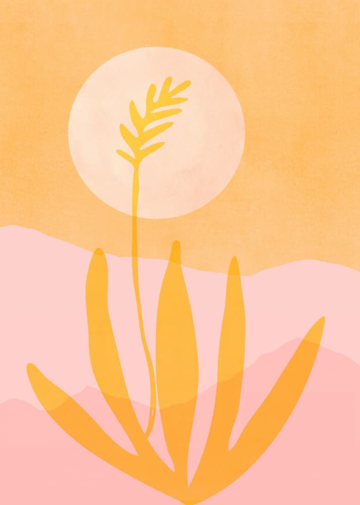 Golden Agave Sunset by Kristian Gallagher — canvas wall art