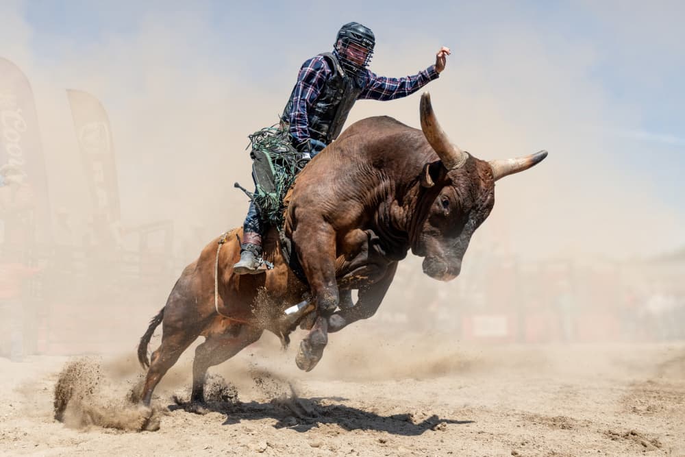 Wild Rodeo Ride by Steven Zhou — canvas wall art