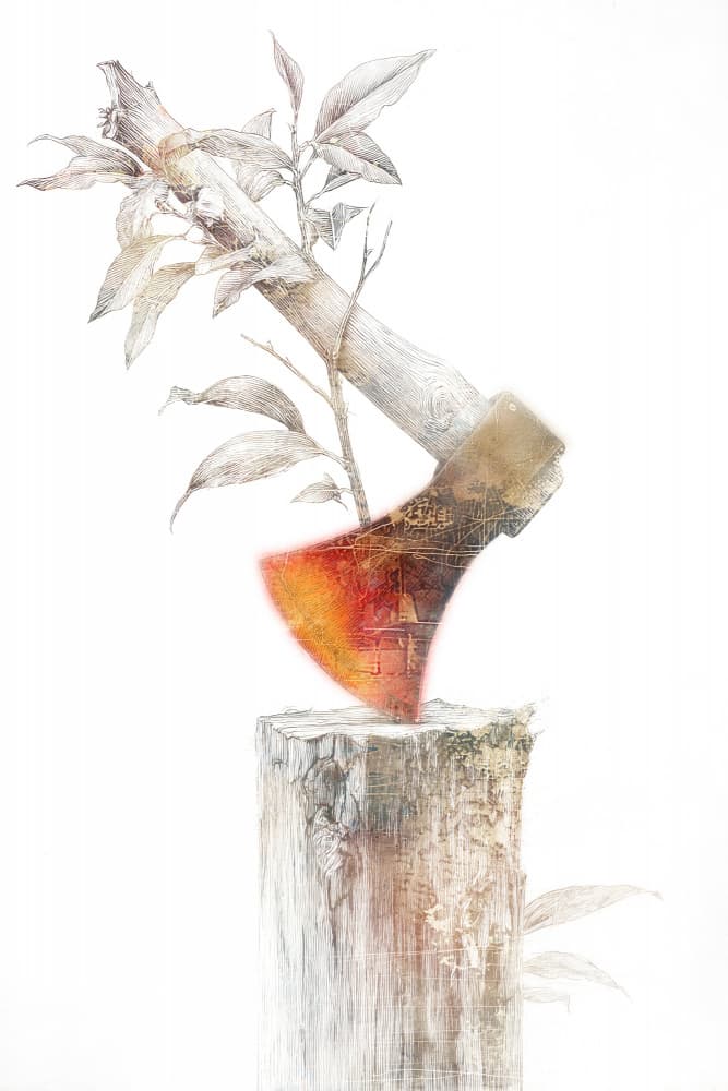Axe of New Life by Rafal Kulik — canvas wall art
