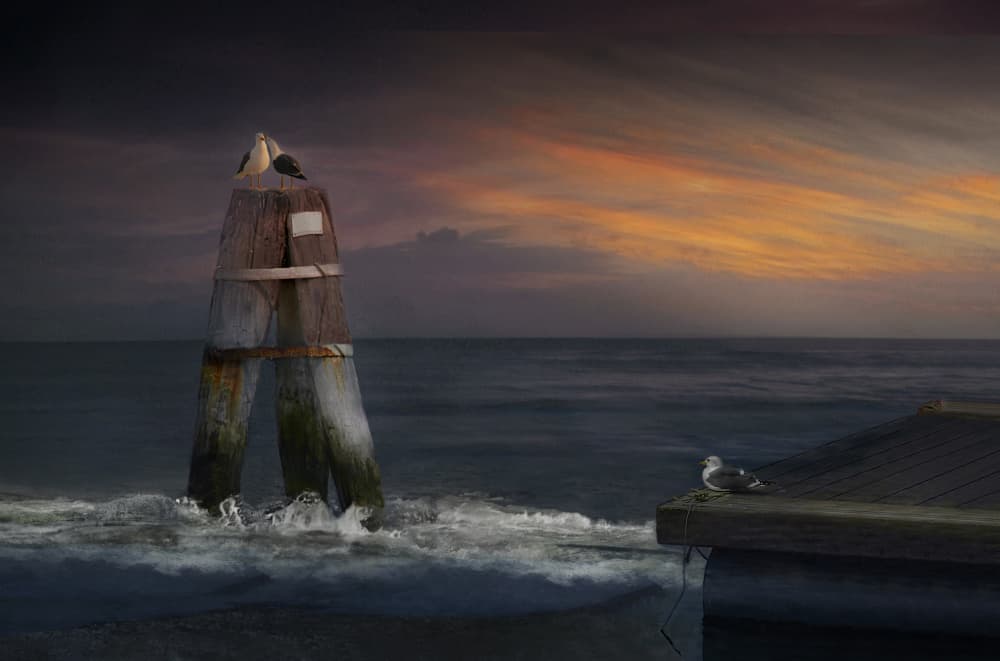 Seagulls on a Coastal Buoy by Elena Arjona — canvas wall art