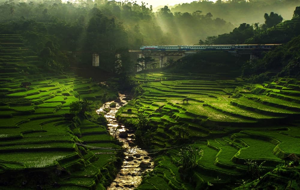 Train Over Rice Terraces by Ismail raja sulbar — canvas wall art